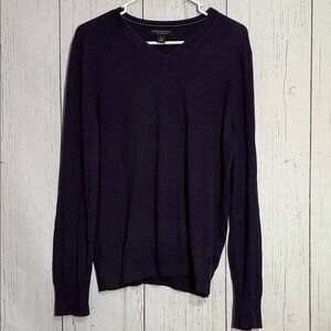 Banana Republic Silk Cashmere Blend Purple Plum V Neck Knit Sweater Size Medium